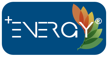Logo Arca Energy
